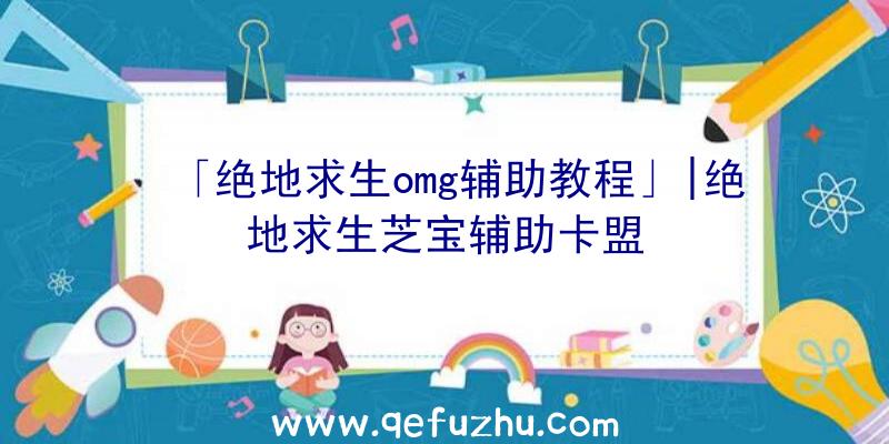 「绝地求生omg辅助教程」|绝地求生芝宝辅助卡盟